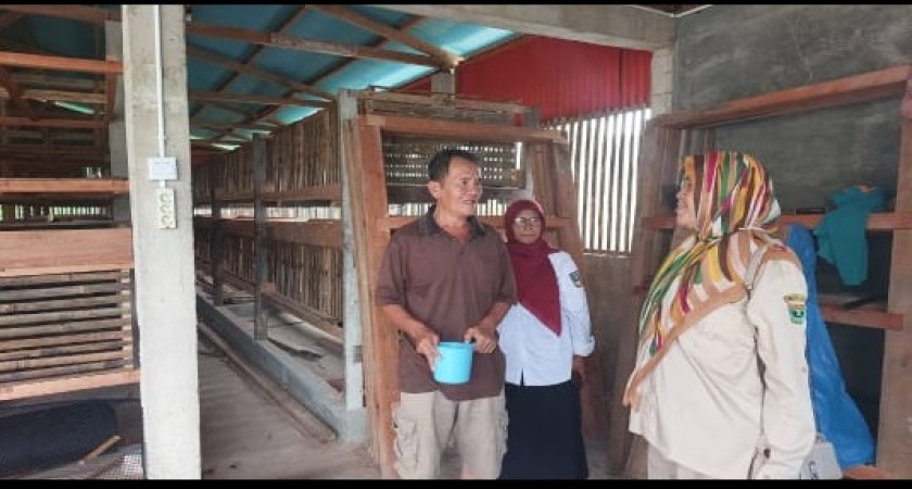 Bidang Peternakan dan Kesehatan Hewan DPKPP dampingi tim Dinas Peternakan dan Kesehatan Hewan Provinsi Sumatera Barat lakukan monev kelompok penerima bantuan ternak unggas.