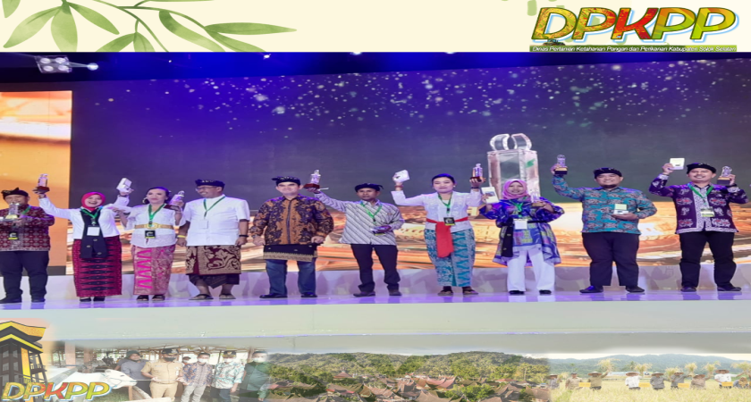Enumerator Harga Kabupaten Solok Selatan Raih penghargaan SPHP Tingkat Nasional