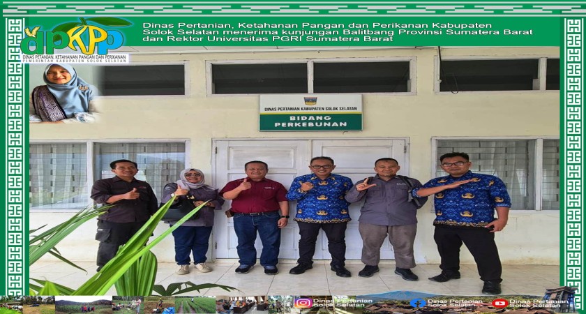 Dinas Pertanian, Ketahanan Pangan dan Perikanan Kabupaten Solok Selatan menerima kunjungan Balitbang Provinsi Sumatera Barat dan Rektor Universitas PGRI Sumatera Barat