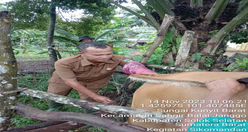 Apresiasi terbaik untuk petugas Inseminator Kabupaten Solok Selatan