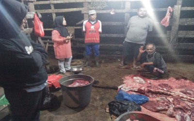Bidang Peternakan dan Kesehatan Hewan DPKPP Dampingi Tim DPKH Provinsi Sumatera Barat meninjau kondisi Tempat Pemotongan Hewan